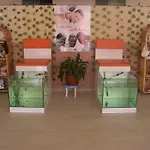 بيغونفيل فندق 3*